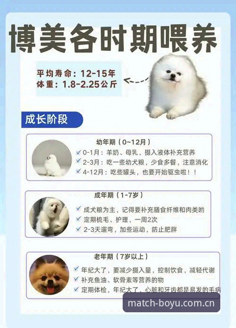 博鱼体育好用吗教程 博鱼体育好用吗?从菜鸟到老手的全面解析